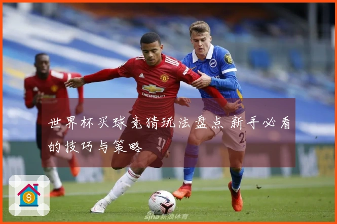 世界杯买球竞猜玩法盘点 新手必看的技巧与策略