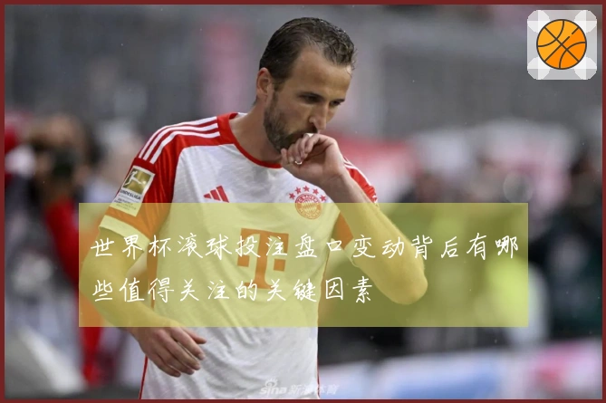 世界杯滚球投注盘口变动背后有哪些值得关注的关键因素