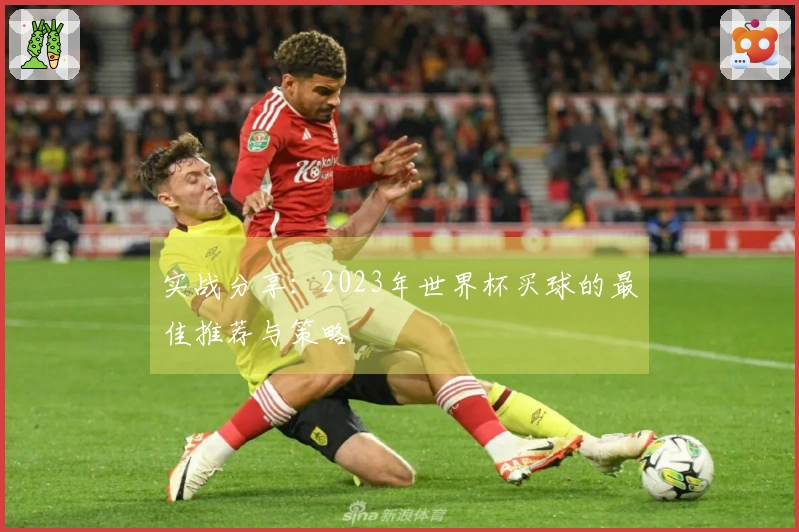 实战分享：2023年世界杯买球的最佳推荐与策略