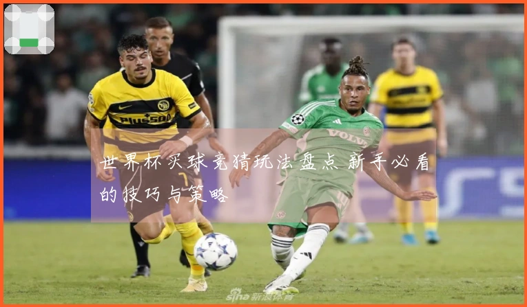 世界杯买球竞猜玩法盘点 新手必看的技巧与策略